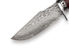 Nóż Myśliwski DAMAST TAKOMA N-954A